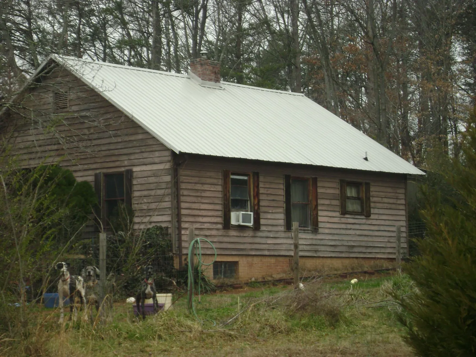 White metal roof on an old wood sided farmhouse, from a Asphalt Shingle Roof Repair job in Clyde Park